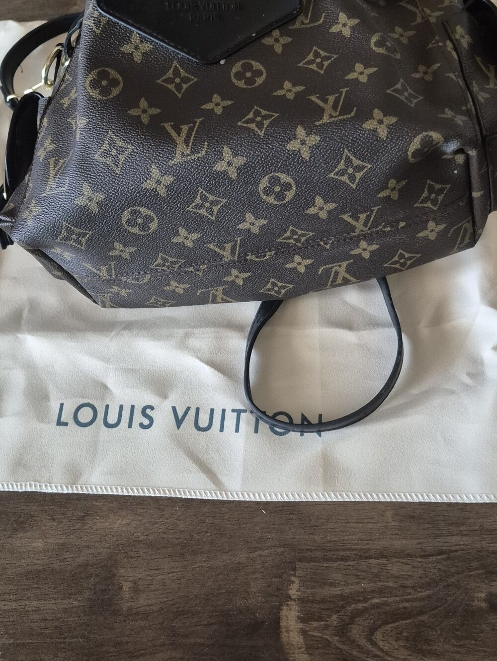 Inspired Bag (New) - Picture 8 of 10
